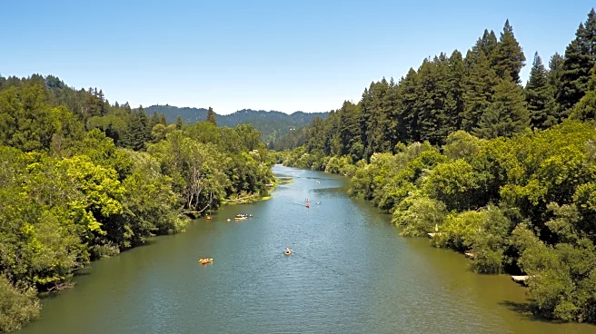 Two Hours From San Francisco Is California's State Park With Endangered Animals, A Swim Cove, And Family Campsites