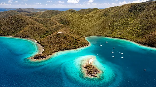 The Caribbean Island Of St. John's Best Snorkeling Spot Is An Underwater Garden Of Sea Turtles And Coral