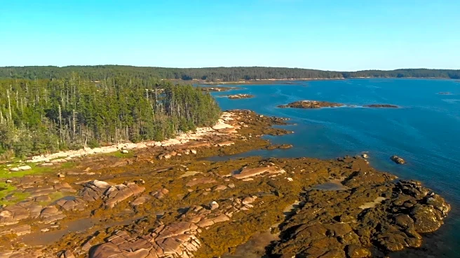 Maine's Unique, Serene Island With Natural Art Pieces Is A Quiet Paradise To Hike And Kayak Near The Coast