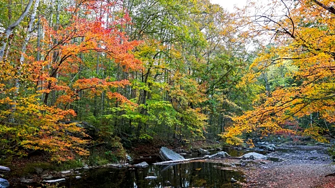Just Outside Pittsburgh Is Pennsylvania's Underrated State Park With A Waterfall, Beach, And A Wildflower Display