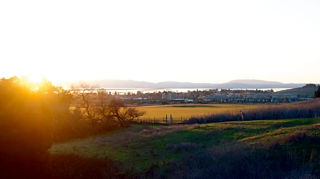 California's 'Gateway To Napa Valley' Is Where Birdwatchers, Hikers, And Wine Lovers Start Their Journey