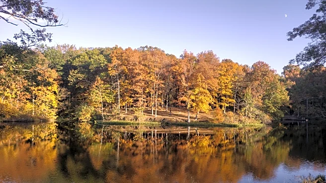 An Hour Beyond Chicago Is Illinois' Wild Woods For Peaceful Camping, Water Recreation, And Scenic Trails