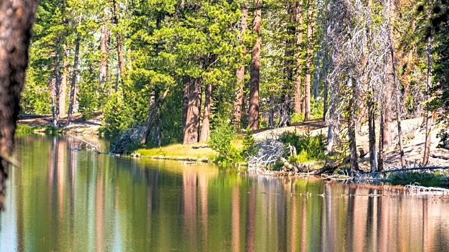 This Emerald Lake In Northern California Bans Motorboats (And It's The Ultimate Peaceful Camping Escape)