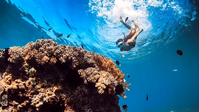 10 Beautiful Snorkeling Destinations In Hawaii (Plus Which Tours To Book)