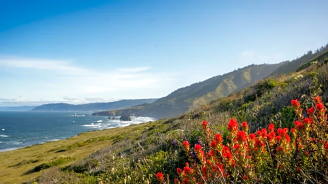 This Tiny Coastal Village On The Edge Of California's Lost Coast' Has Beaches, Trails, And Rugged Camping