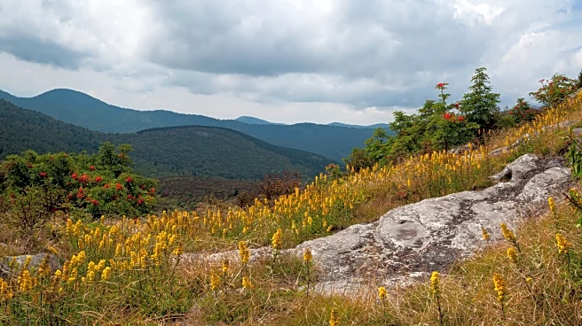 One Of North Carolina's Favorite Hikes Is A Breathtaking Journey Traversing Mysterious Appalachian Balds