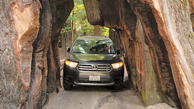 Only In Northern California Can Travelers Take A Kitschy Road Trip Right Through Three Living Redwood Giants