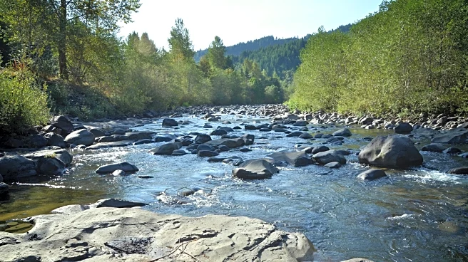 An Hour Outside Of Portland Is Oregon's Wild River Corridor To Float, Fish, Hike, And Camp In A Natural Paradise