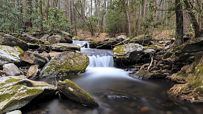The Blue Ridge Parkway's Largest Recreation Area Is A Wildlife Wonderland With Campsites And Magical Meadows