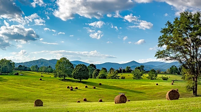 Charlottesville's Friendly Suburb Is A Growing Virginia Lakeside Pocket With Local Bites And City Access