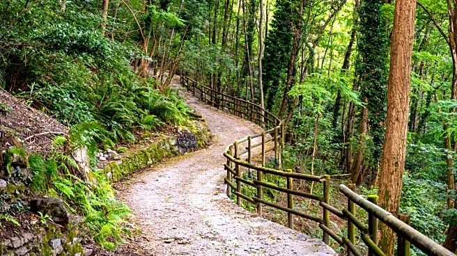 Lake Como's Ancient, Cliff-Clinging Path Links Idyllic Waterside Villages, Lush Forests, Medieval Castles
