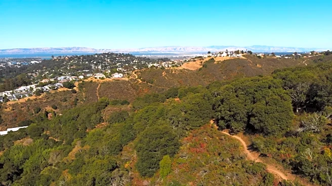 Between San Francisco And San Jose Is A City Fusing Global Flavors And Festivals With Outdoor Adventures