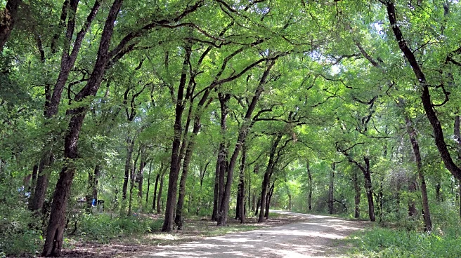 Texas' Sprawling Nature Park Is A Historic Austin Gem With Free-Range Peacocks, Lush Gardens, And A Lovely Cottage