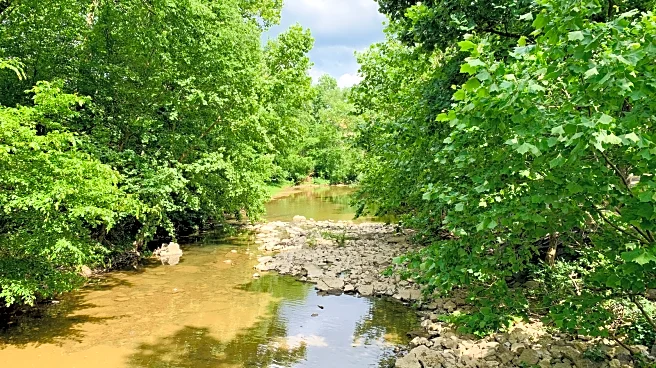 Tennessee's 'City By The Lake' Is A Bustling Nashville Suburb With Eclectic Shops And Great Fishing