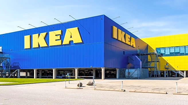 This Iconic And Affordable Item From IKEA Is A Durable Travel Essential For Any Camping Or Hauling
