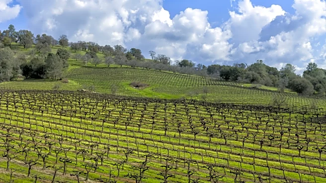 Outdoorsy California Retirees Have Discovered This Affordable Wine Country Town Nestled In The Sierra Foothills