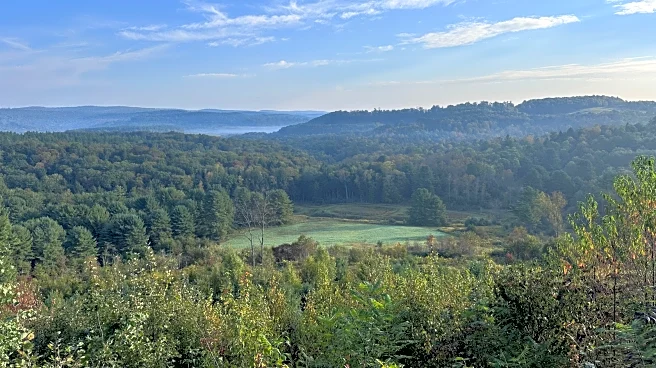 Pennsylvania's Underrated Mountain City In Elk Country Boasts Bavarian Charm And A Vibrant Walkable Downtown