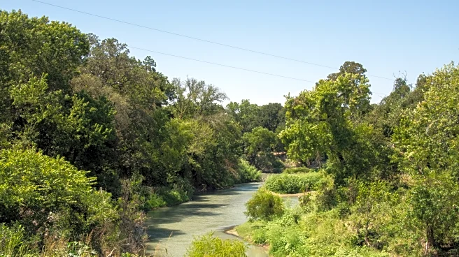 Tucked Between Houston And San Antonio Is A Stunning State Park Hidden In The Lush 'Tropics' Of Central Texas