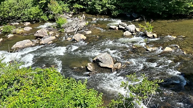 The Banks Of This Underrated Tennessee River Feature Amazing Hikes, Scenic Waterfalls, And Cozy Campsites