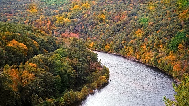 Between NY And Pennsylvania Is A Wildly Scenic River System And National Park Site To Boat, Fish, And Kayak