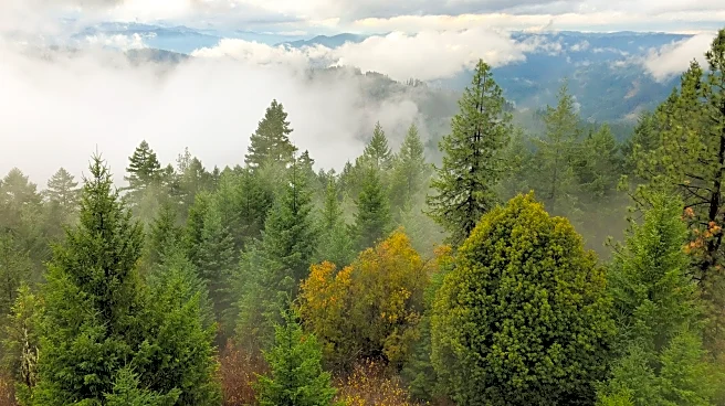 Oregon's Prominent Twin Pinnacles In Umpqua National Forest Offer Breathtaking Rock Climbing And River Views