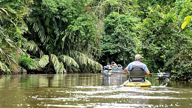 The Iconic Animal Tons Of Tourists Complain About Not Getting To See On A Costa Rica Vacation