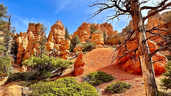 Utah's Stunning Outdoor Adventure Hub Is A Town That Charms With Retro Motels And Quirky Shops