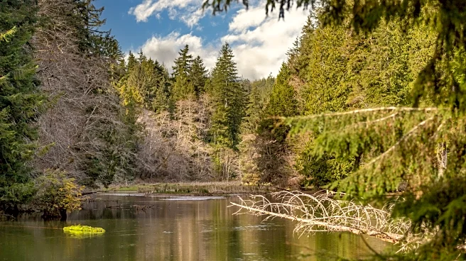 Washington's Hidden Lakeside Sanctuary Is A Rainforest Retreat With Quiet Hiking, Fishing And Camping