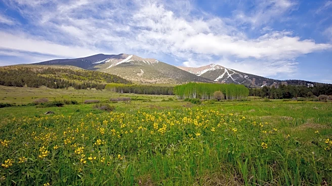Arizona's Highest Peak Is A Breathtaking Volcano With Hiking, Skiing, And Grand Canyon Views