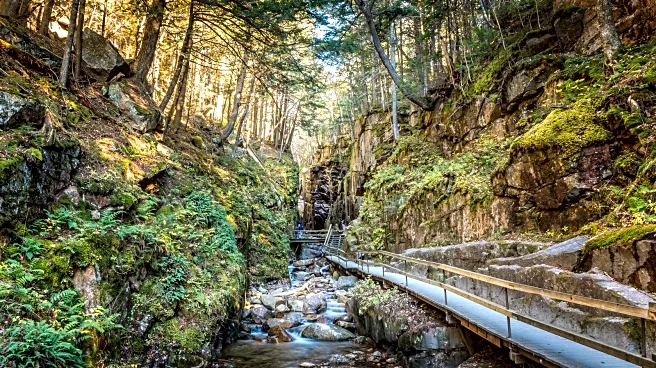 Nestled In The Foothills Of The White Mountains Is A New Hampshire College Town Bathed In New England Charm