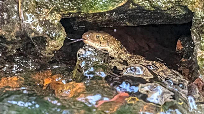 Maine's Most Beautiful Lakes And Rivers Are Also Snake Hotspots (Here's How To Stay Safe)
