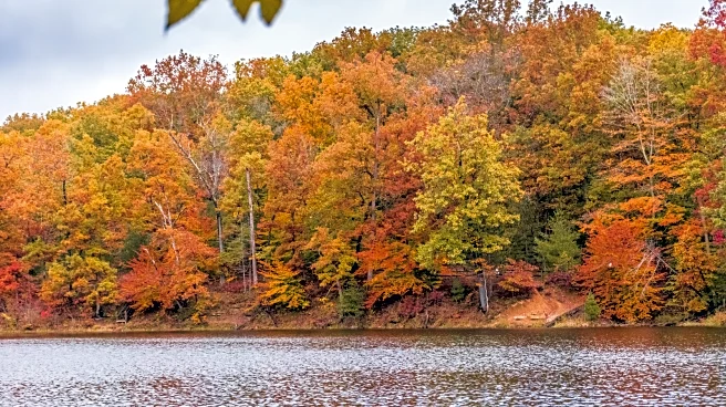 The 'Little Smokies Of The Midwest' Is An Affordable Autumn Getaway With Cabins, Trails, And Bright Fall Colors