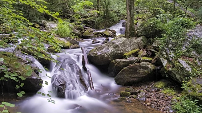 One Of Georgia's Most Popular Tourist Attractions Is An Easily Accessible Waterfall Hidden Away In Helen