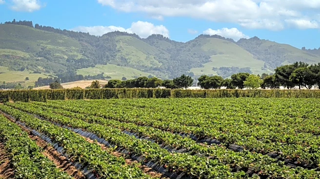 The 'Strawberry Capital Of The World' Is A Bayside California City Blending Long Beaches And Agricultural Charm
