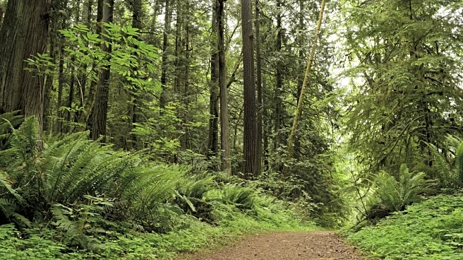 Situated On Deep Lake Is Washington's State Park Paradise For Canoeing, Birding, And Camping