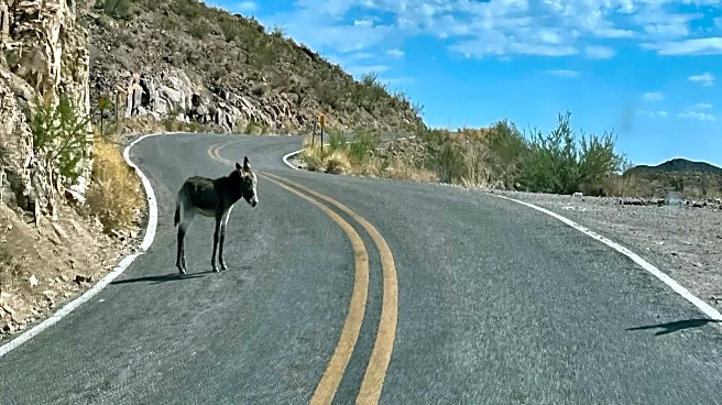 Arizona's Winding, High-Elevation Section Of Route 66 Boasts Panoramic Views And Historic Sites