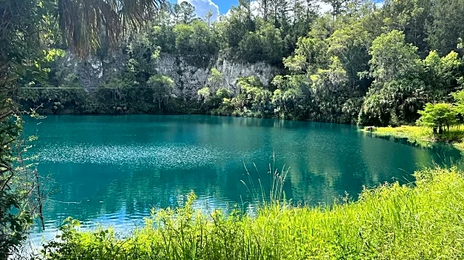 An Adventure Park Near Ocala Offers Florida's Only True Canopy Tour With Zip Lines, Boats, And Horses