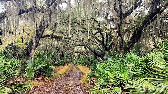 Sandwiched Between Savannah And Brunswick Is Georgia's Fishing Village With Dockside Dining And Marsh Views