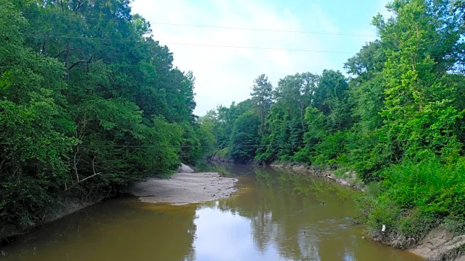 Nestled In The Heart Of The Bayou Is A Vibrant Small Town Called 'The Pie Capital Of Louisiana'