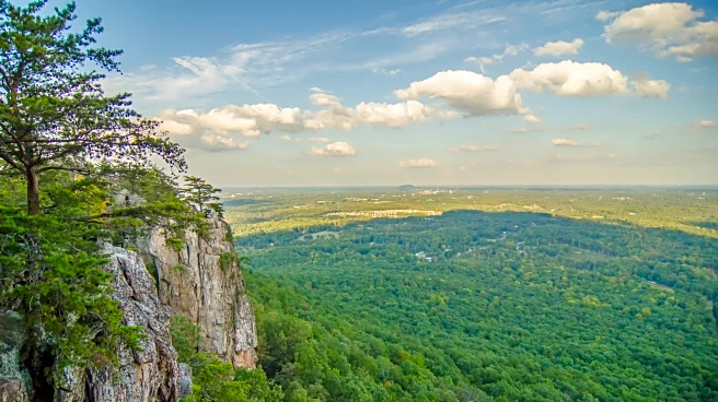 North Carolina's Charming City Is An Outdoor Lover's Paradise With Mountain Views And A Thriving Arts Scene