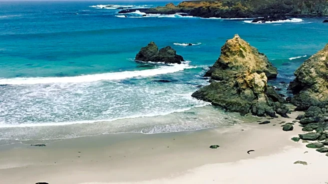 California's Secret Coastal Nature Center Off Highway 1 Has Unique Campsites, Moonlit Hikes, And Nature Education