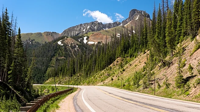 Colorado's Underrated Scenic Byway Glides By Rugged Cliffs, Whitewater Rapids, And Canyons With Bighorn Sheep