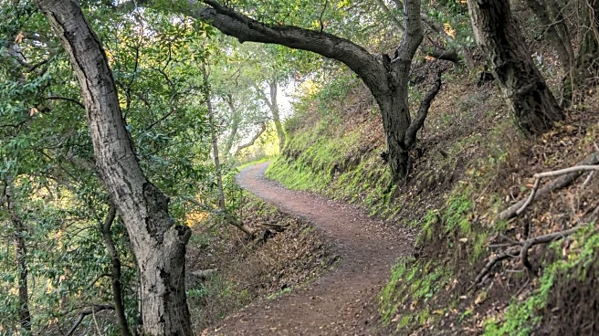 Southern Indiana's Underrated Nature Preserve Boasts Walkable Scenic Trails, Verdant Scenery, And Rocky Bluffs