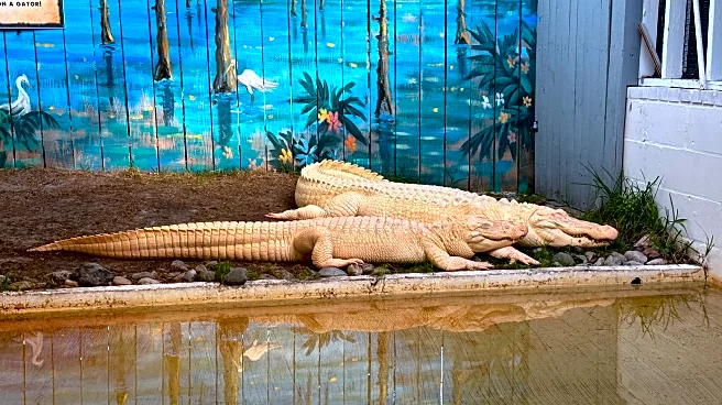 Florida's Unique And Popular Wildlife Attraction Is A Disappointing Tourist Trap With Troublesome Issues