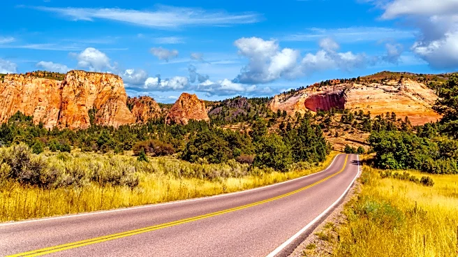 One Of America's Most Scenic Drives Reveals Wildflower Meadows And Panoramic Ridges In Zion National Park