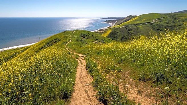 LA's Underrated Canyon Trail Tucked Beside The PCH Offers Sweeping Ocean Views And Untouched Wilderness