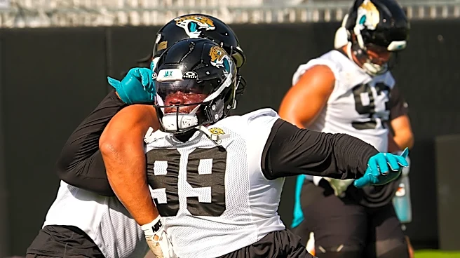 Offseason addition Jaguars player to watch at DT in training camp