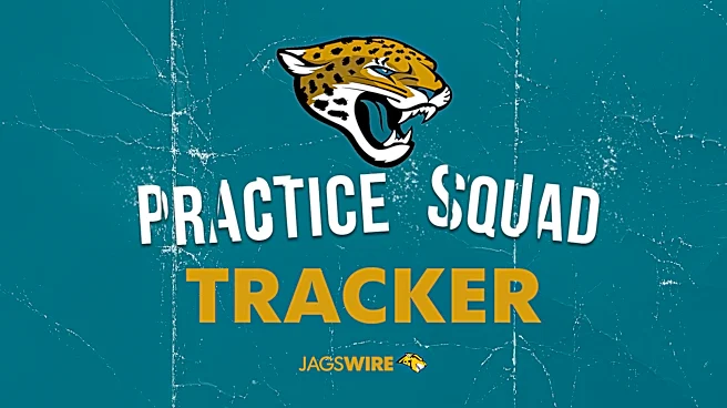 Jaguars 2026 practice squad tracker: Who's signed after roster cuts?