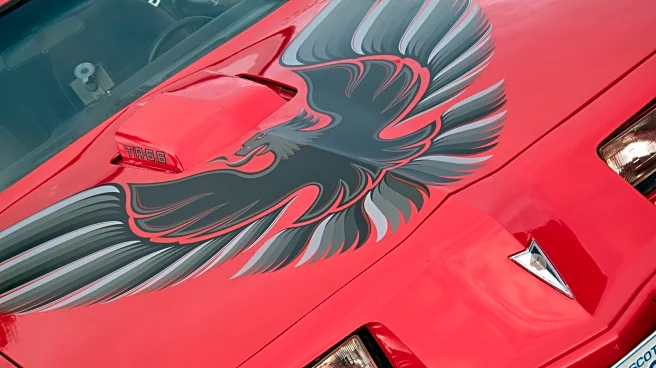 What Kind Of Bird Did Pontiac Put On The Hood Of Trans-Ams?