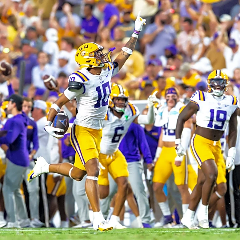 LSU Tigers lose starting safety for season with ACL injury